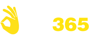 vnok365con.com Logo